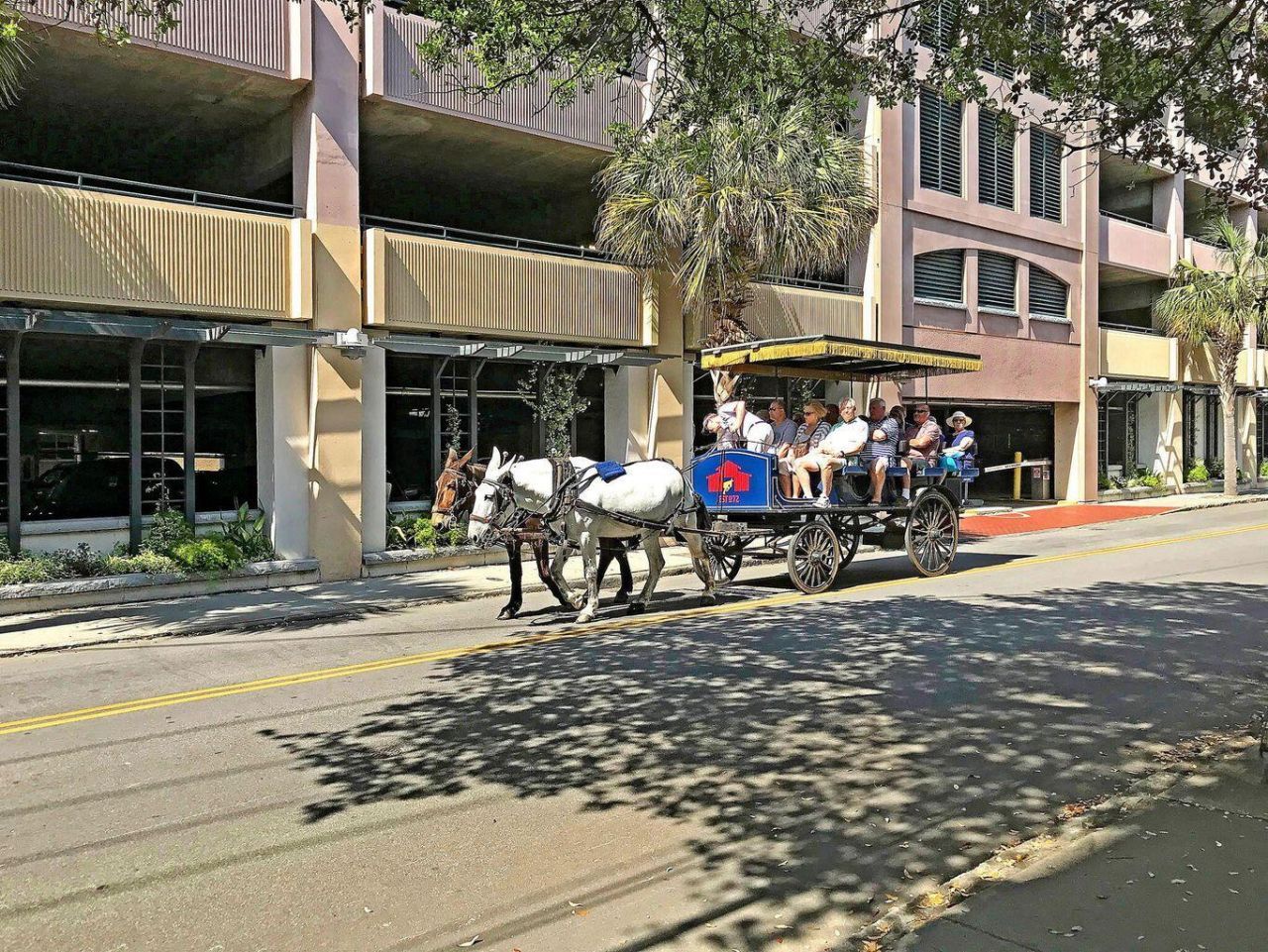 15 Horlbeck Alley Photo 30