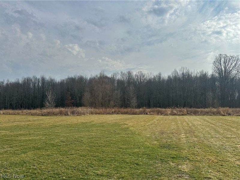 4039 Selkirk Bush Road, Newton Falls, OH 44444 Photo 49