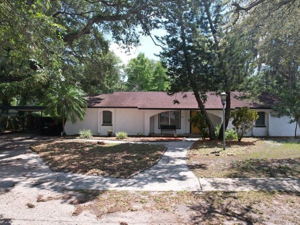 12216 NOREAST LAKE DRIVE , TAMPA, FL 33612