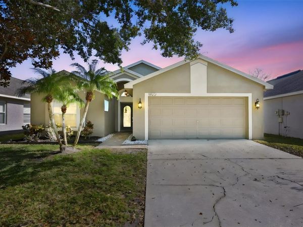 19512 MORDEN BLUSH DRIVE , LUTZ, FL 33558