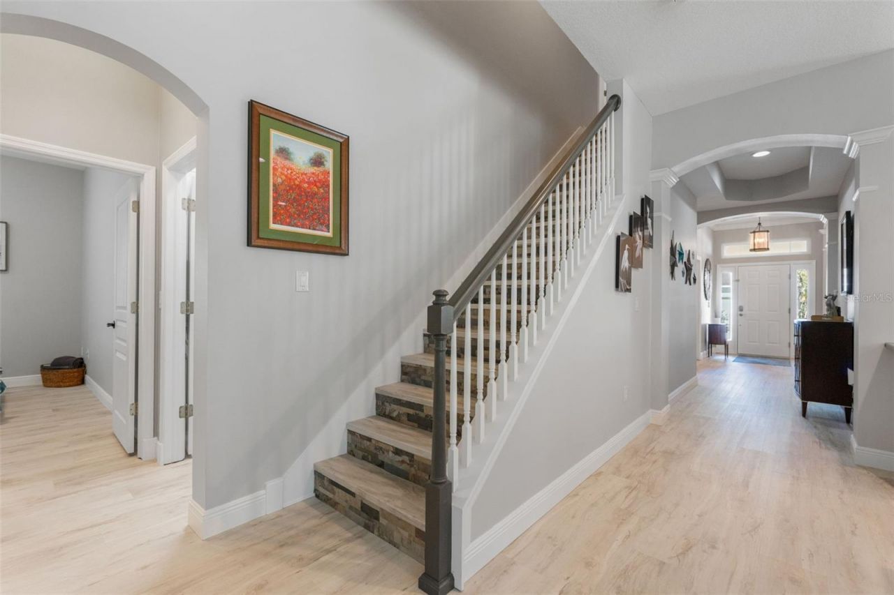 14680 Canopy Drive, Tampa, FL 33626 Photo