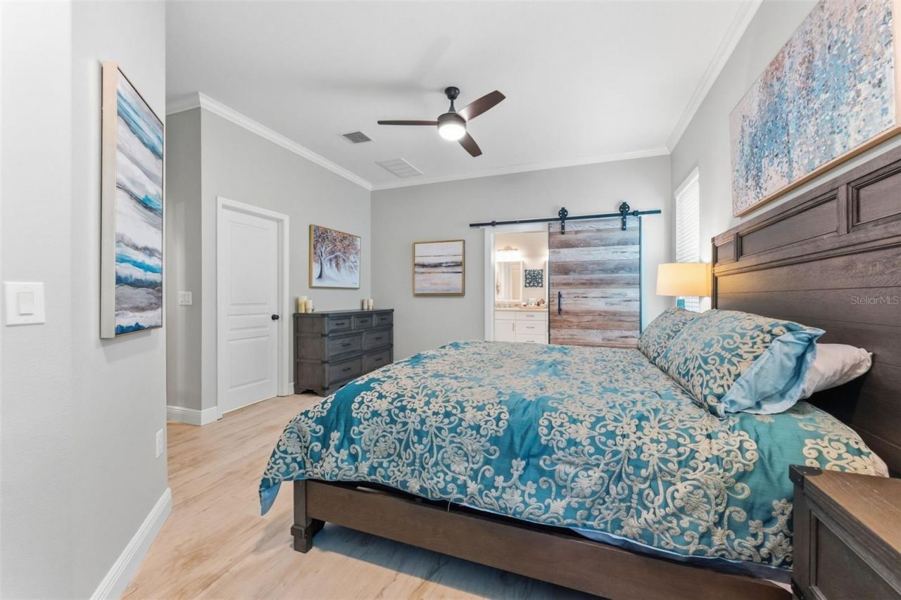 14680 Canopy Drive, Tampa, FL 33626 Photo