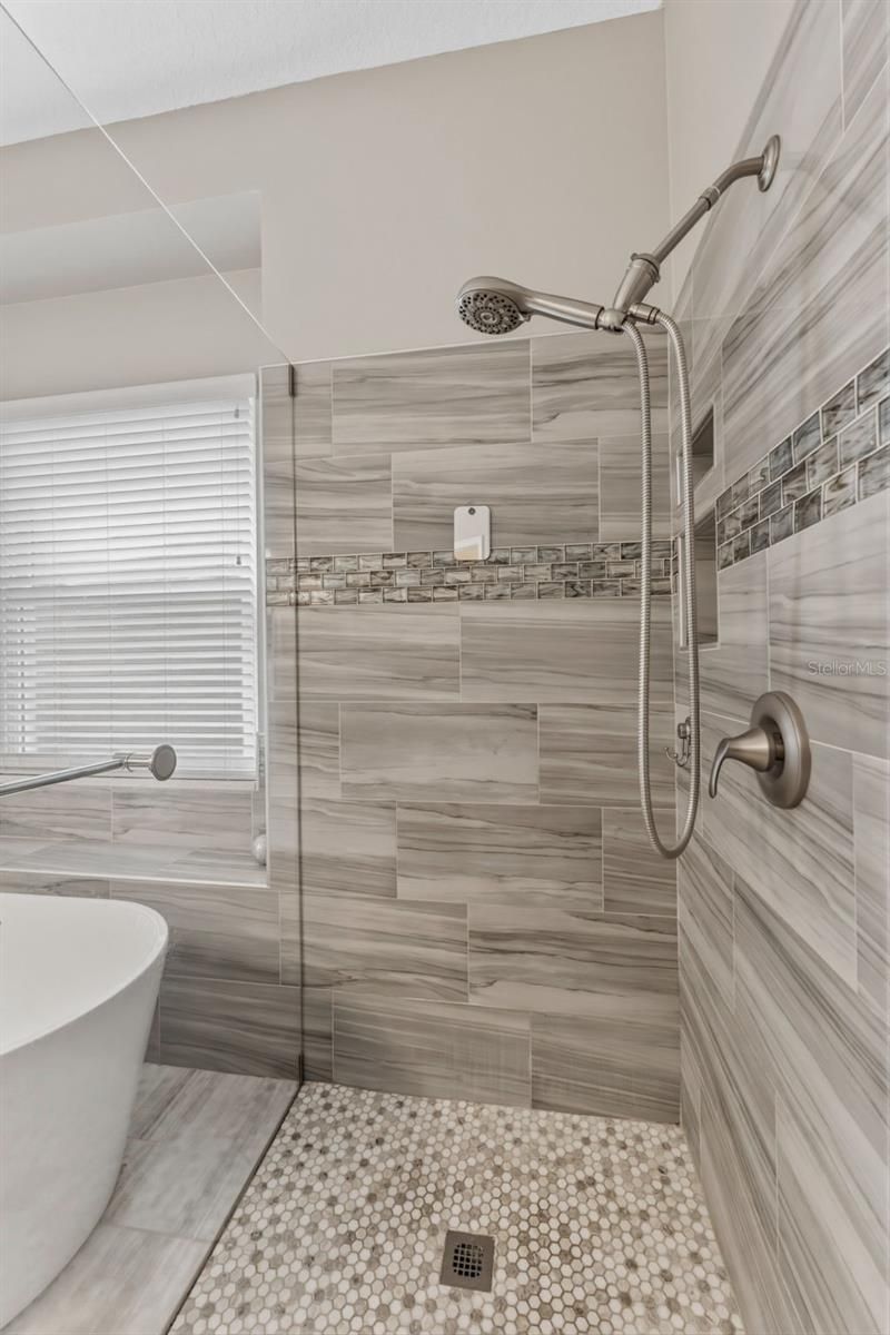 14680 Canopy Drive, Tampa, FL 33626 Photo