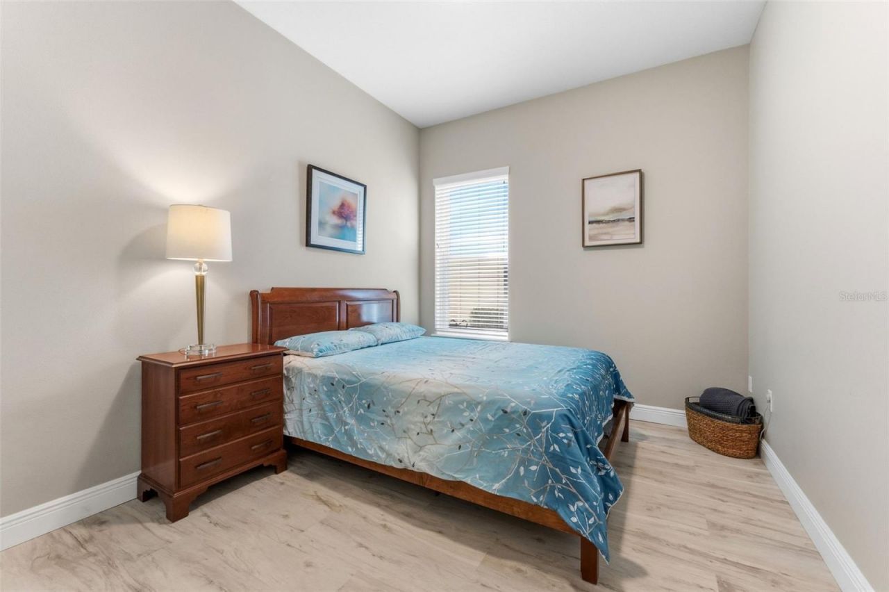 14680 Canopy Drive, Tampa, FL 33626 Photo