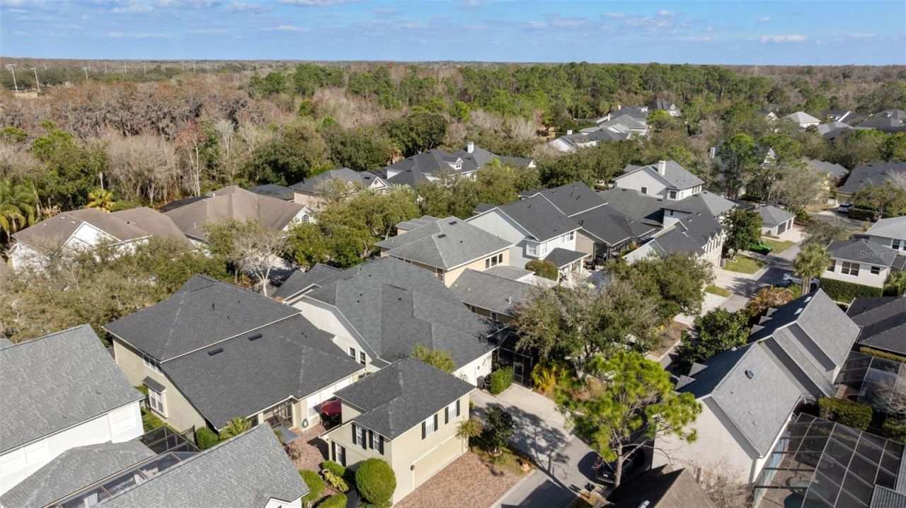 14680 Canopy Drive, Tampa, FL 33626 Photo