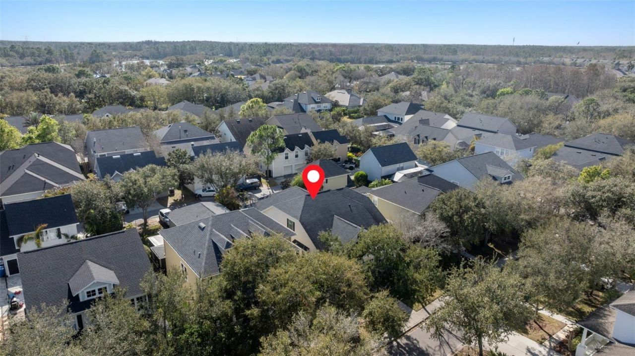 14680 Canopy Drive, Tampa, FL 33626 Photo