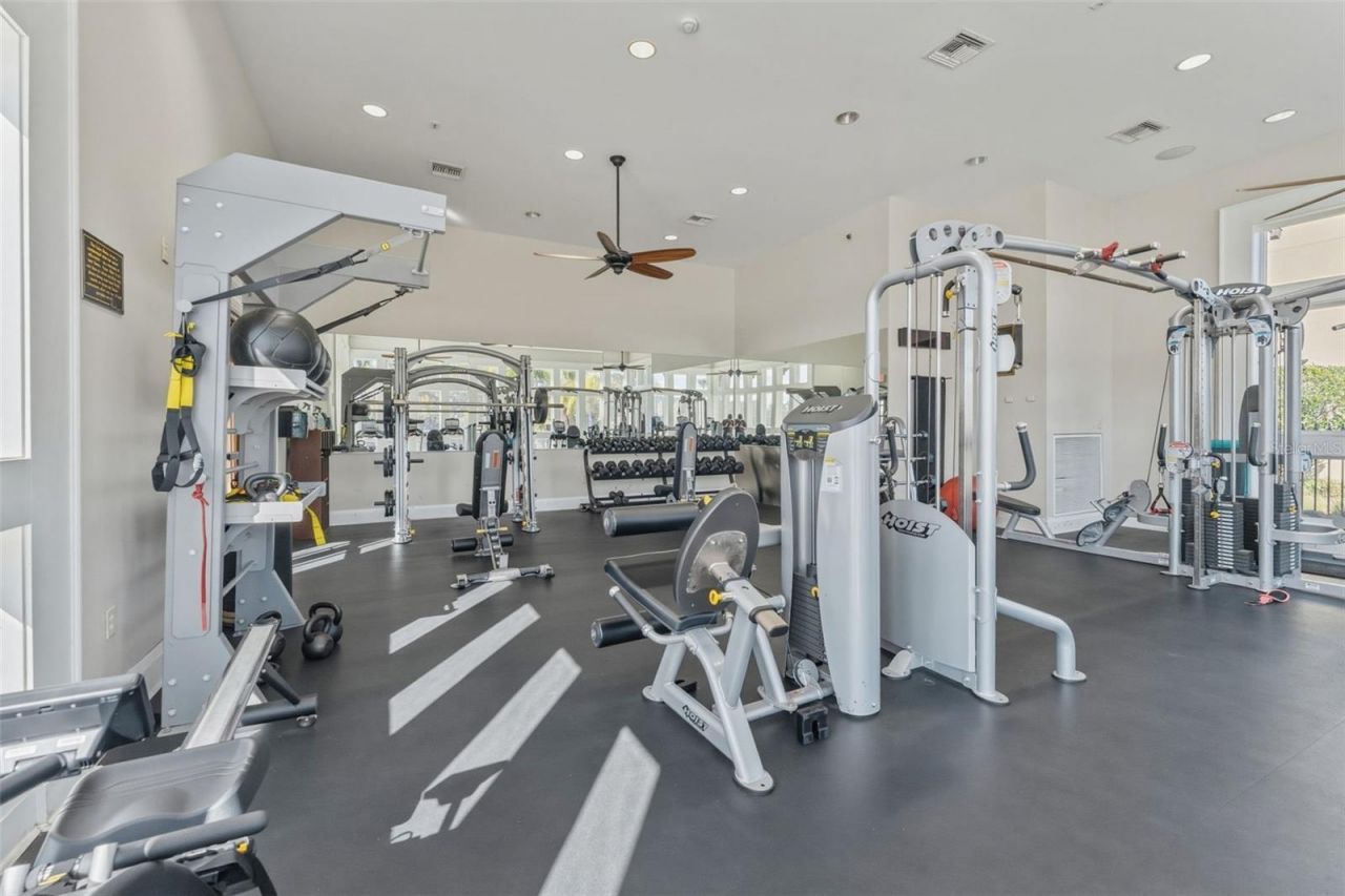 14680 Canopy Drive, Tampa, FL 33626 Photo