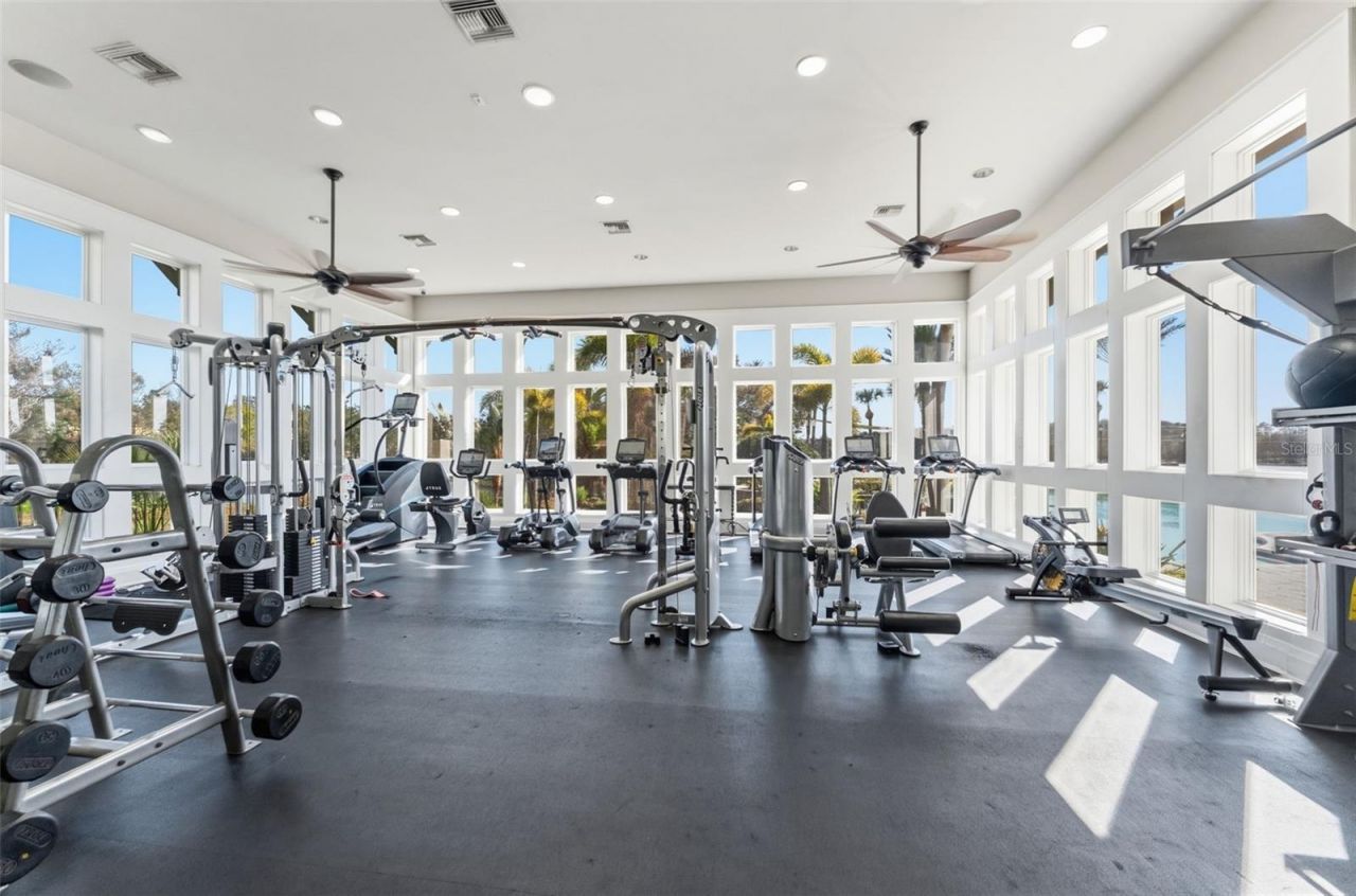 14680 Canopy Drive, Tampa, FL 33626 Photo