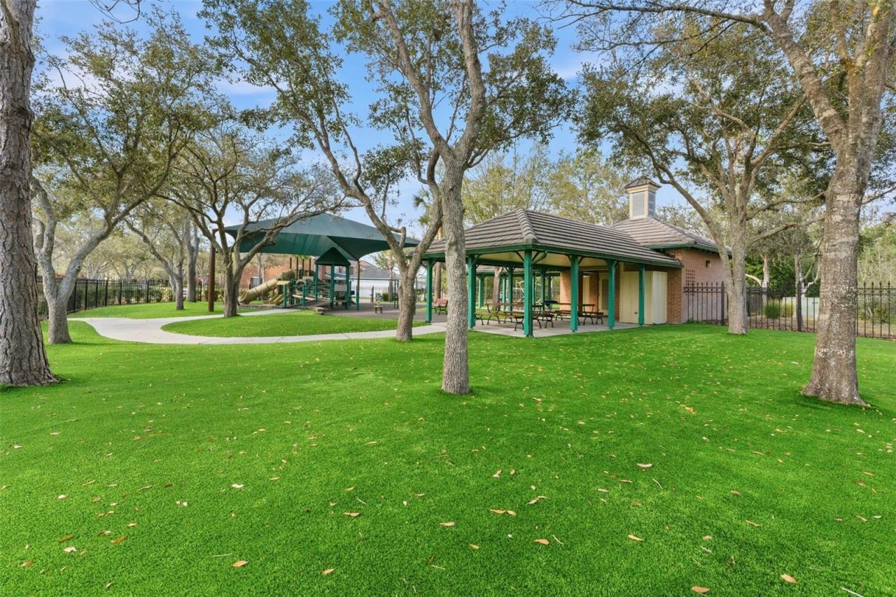 14680 Canopy Drive, Tampa, FL 33626 Photo