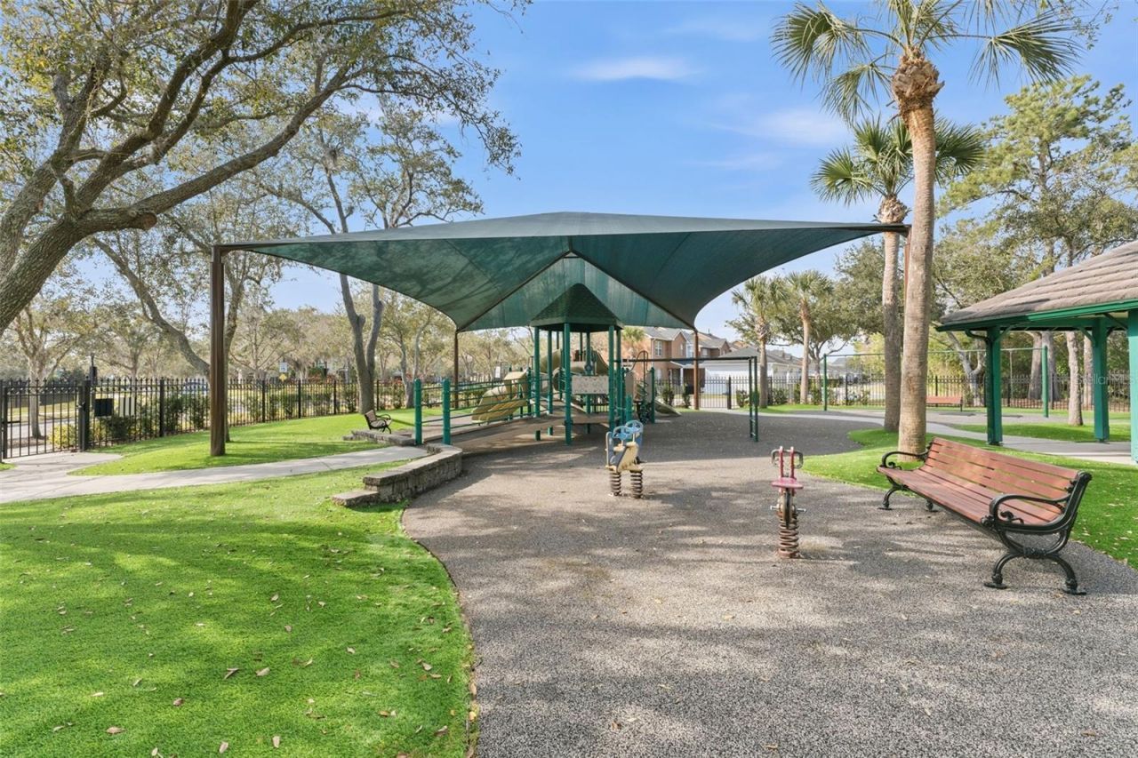 14680 Canopy Drive, Tampa, FL 33626 Photo