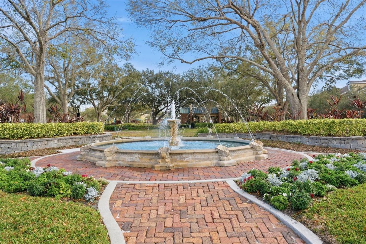 14680 Canopy Drive, Tampa, FL 33626 Photo