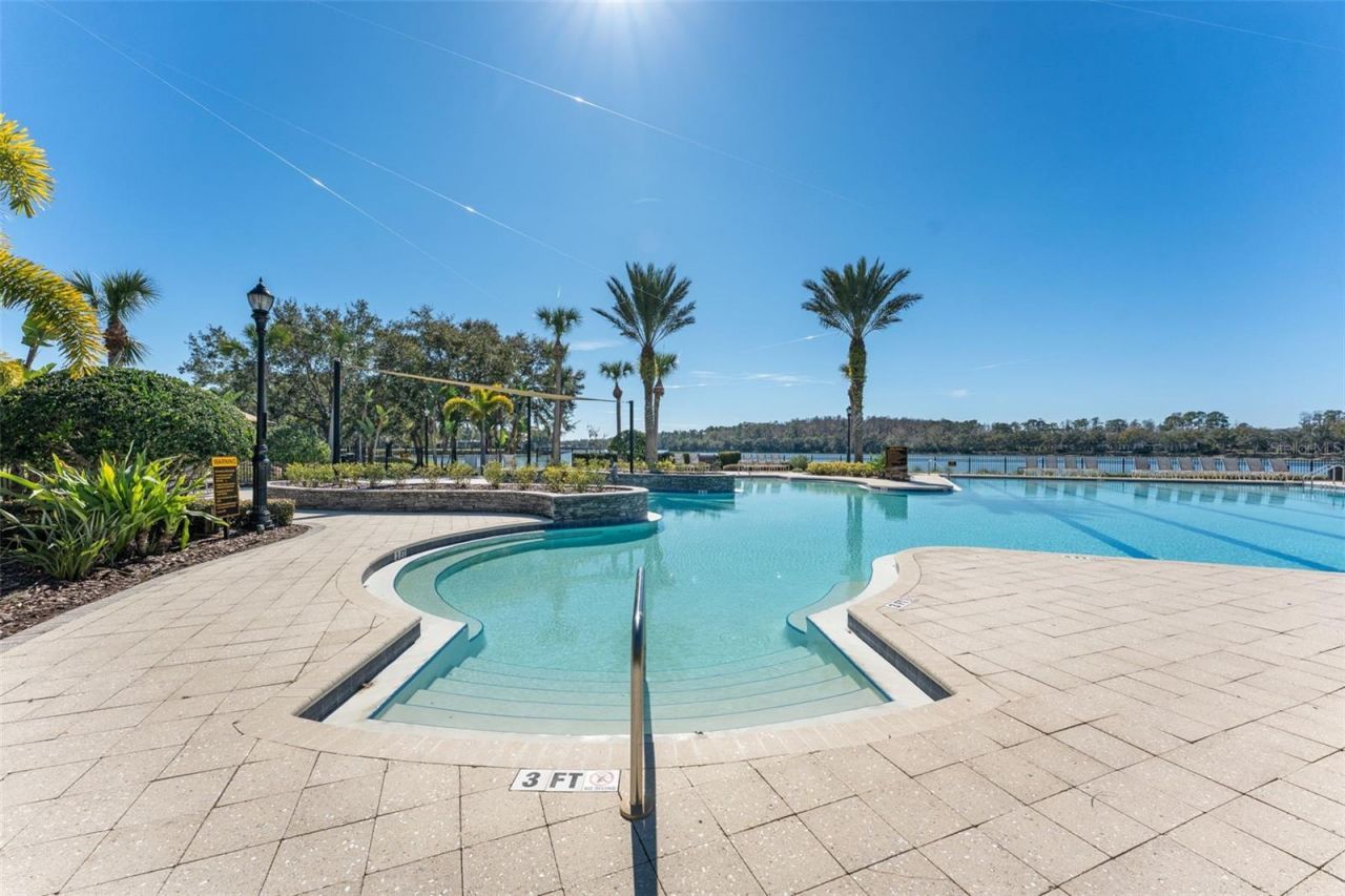 14680 Canopy Drive, Tampa, FL 33626 Photo