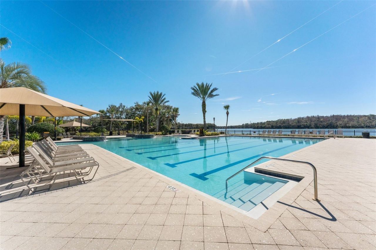 14680 Canopy Drive, Tampa, FL 33626 Photo