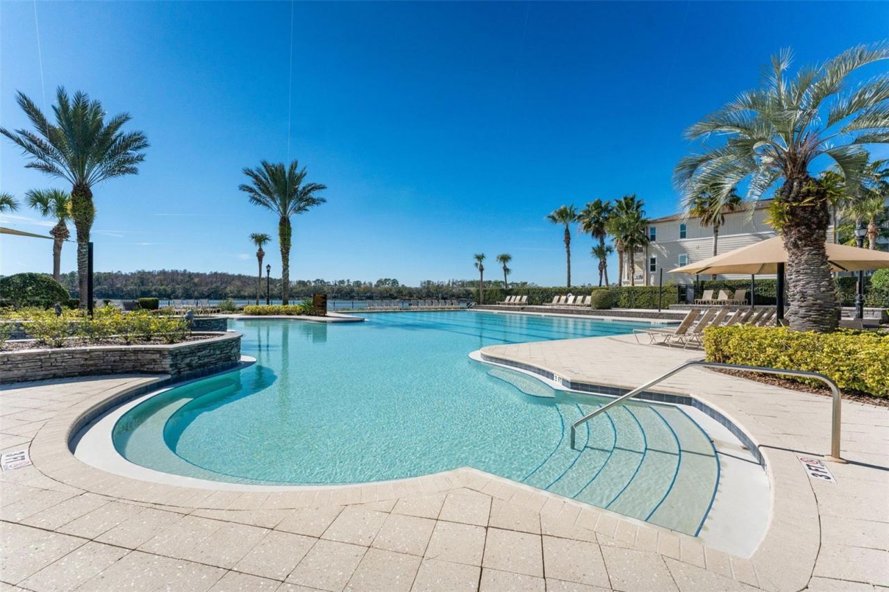 14680 Canopy Drive, Tampa, FL 33626 Photo