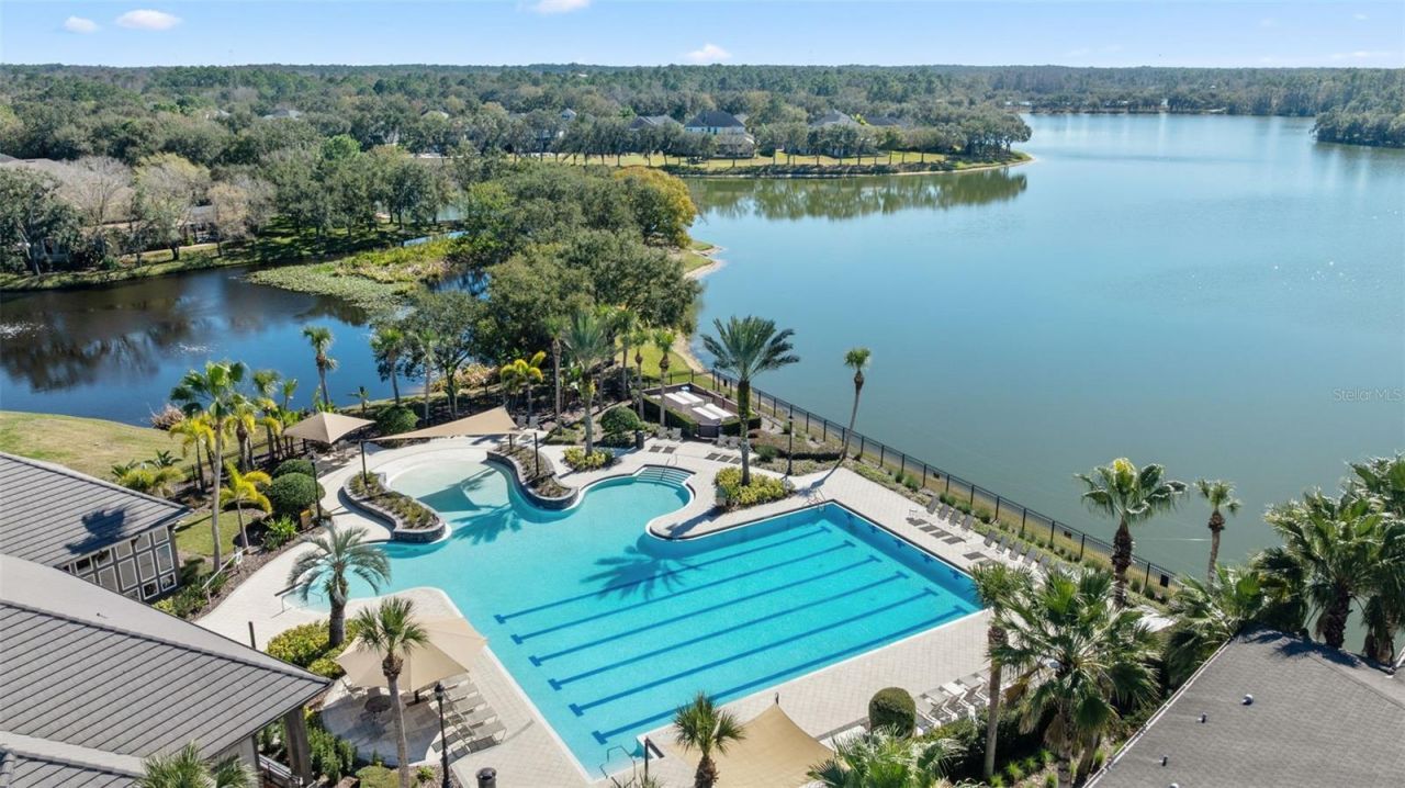 14680 Canopy Drive, Tampa, FL 33626 Photo