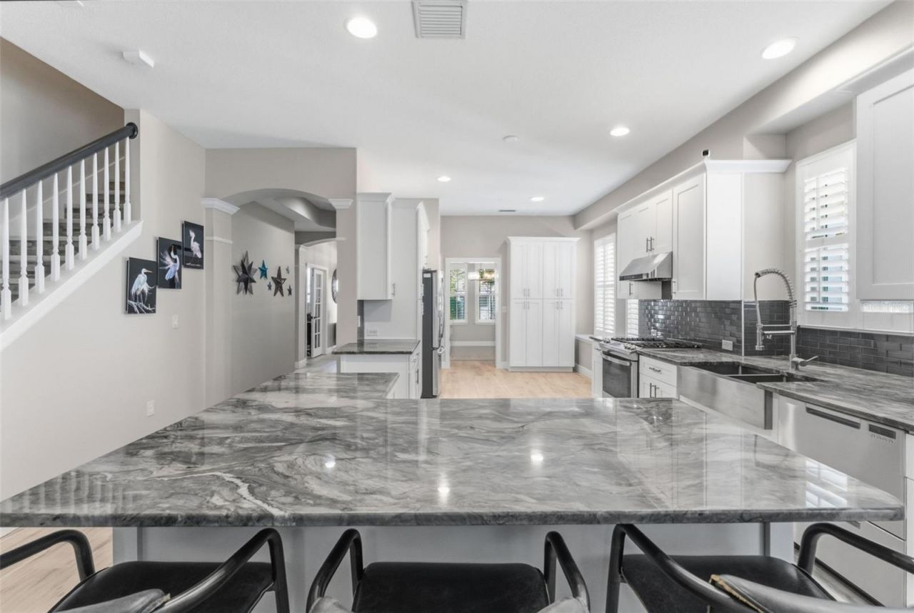 14680 Canopy Drive, Tampa, FL 33626 Photo