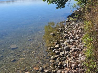 TBD 4/5 Lots 317th St, Underwood, MN 56586