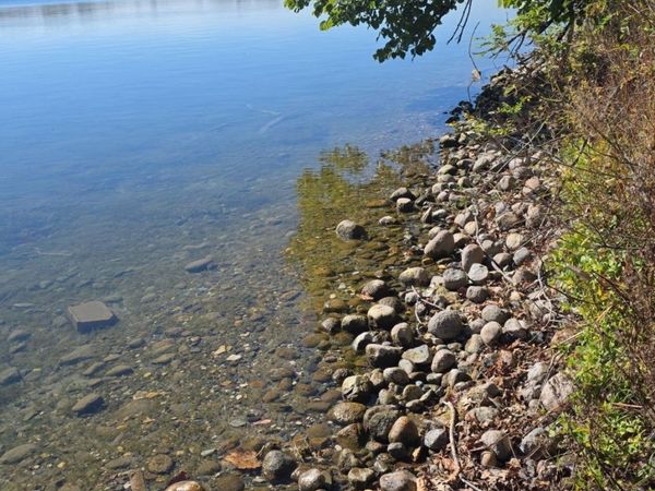 TBD 4/5 Lots 317th St, Underwood, MN 56586