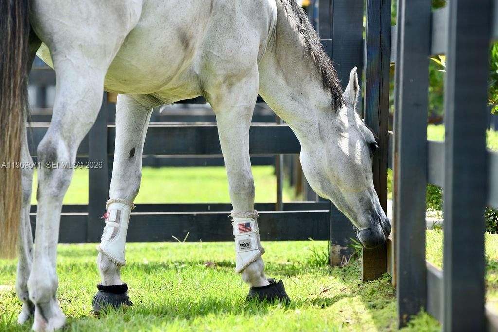 2625 SW 148th Ave, Davie, FL 33331 Photo