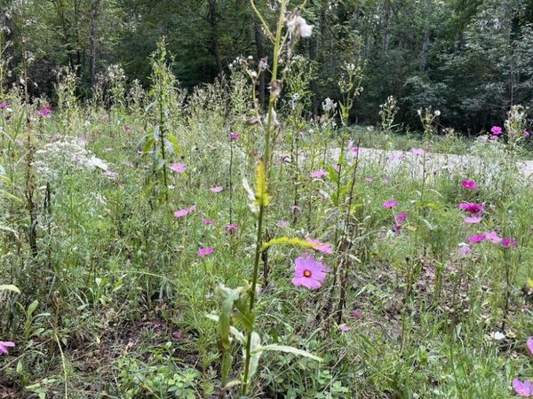 EVERGREEN DRIVE, Wautoma, WI 54982