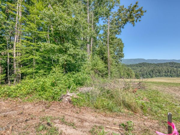 Tbd Sink Valley Road, Butler, TN 37640