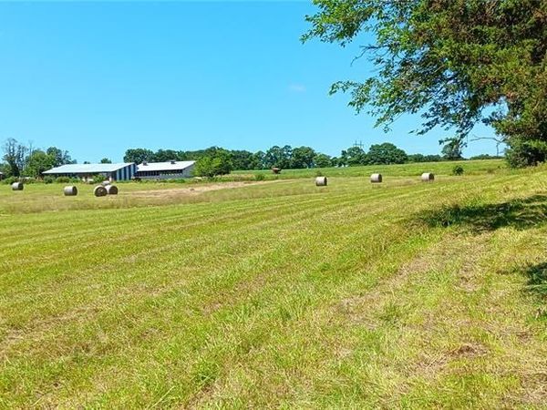 6991 Ely Road , Hartville, MO 65667