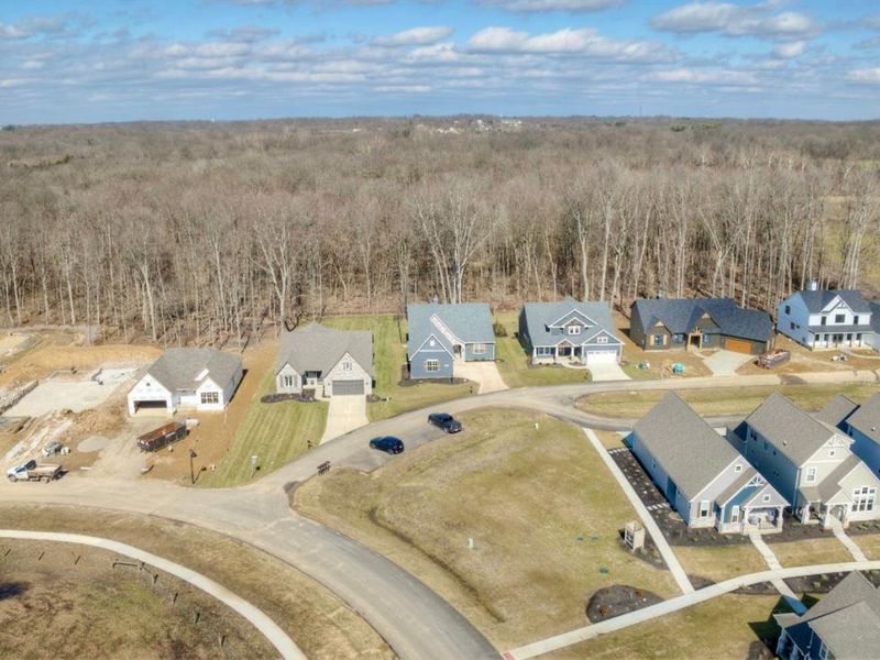 962 Larkspur Drive, Morrow, OH 45152 Photo 47