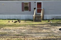 1685 Baughman Road  photo 4