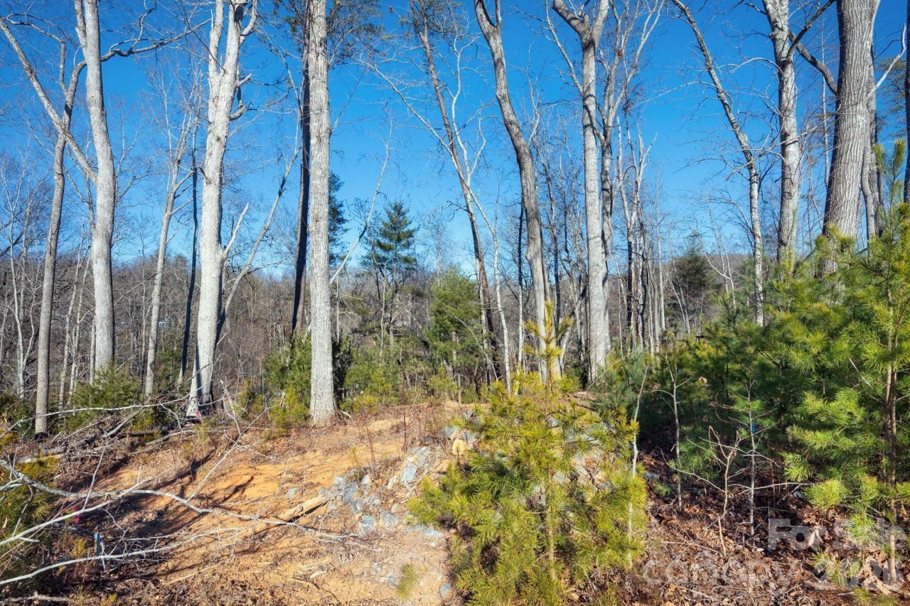 136 Riverbend Forest Drive, Asheville, NC 28805 Main Photo