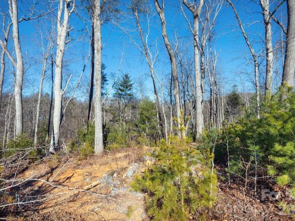 136 Riverbend Forest Drive, Asheville, NC 28805