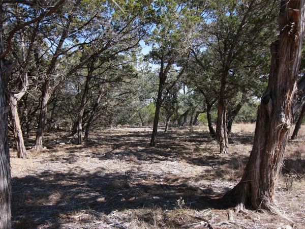 150 Patricks WAY, Dripping Springs, TX 78620