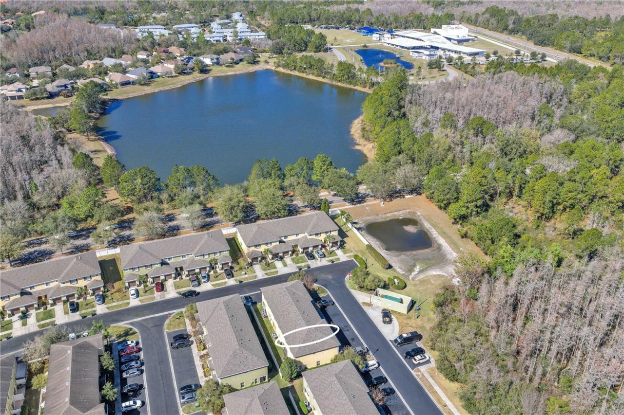 8509 Trail Wind Drive, Tampa, FL 33647 Photo