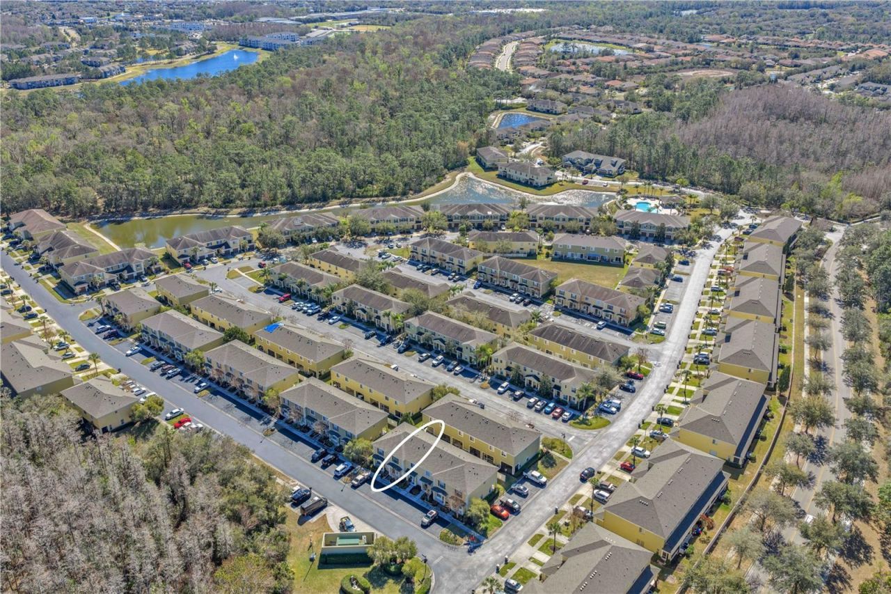 8509 Trail Wind Drive, Tampa, FL 33647 Photo