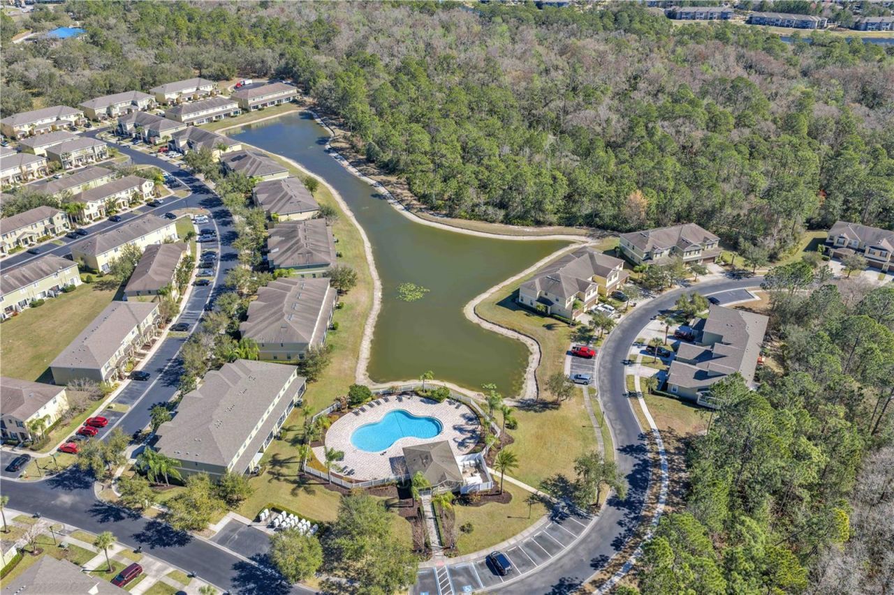 8509 Trail Wind Drive, Tampa, FL 33647 Photo