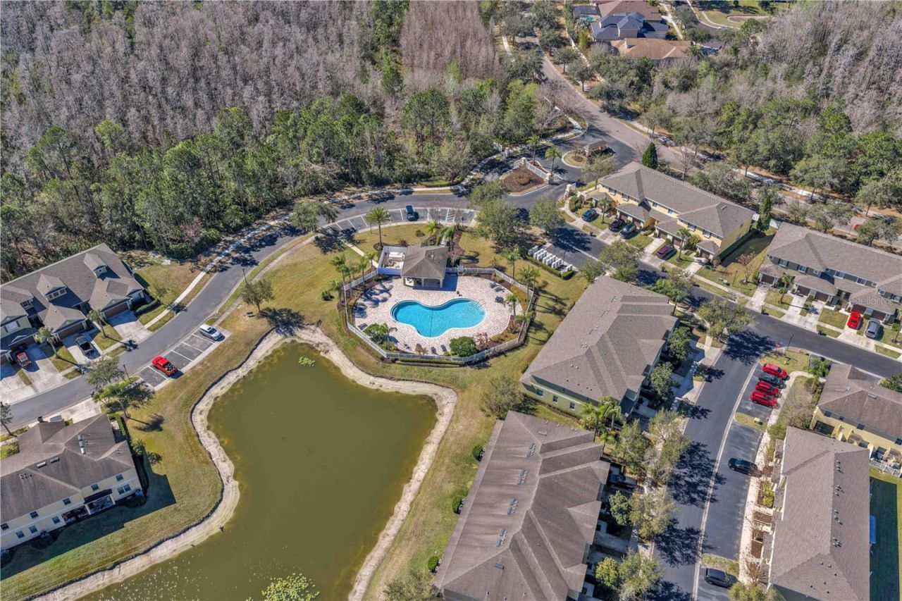 8509 Trail Wind Drive, Tampa, FL 33647 Photo