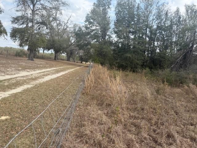 Sw Cr 751 Road, Jasper, FL 32052 Photo
