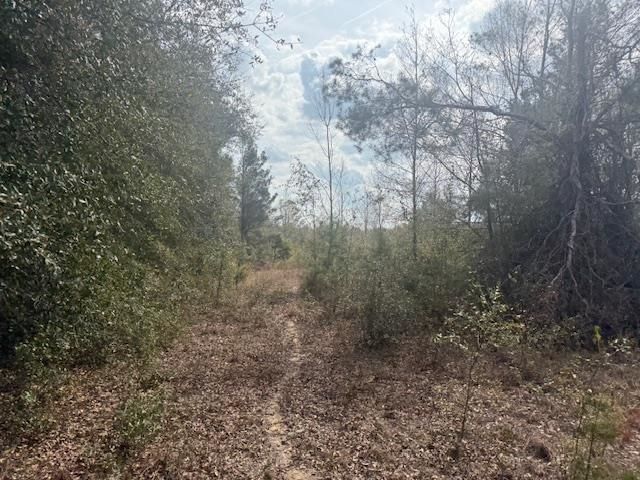 Sw Cr 751 Road, Jasper, FL 32052 Photo