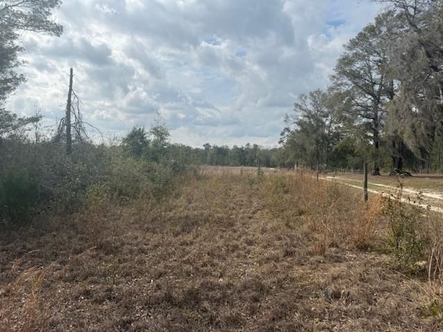 Sw Cr 751 Road, Jasper, FL 32052 Photo