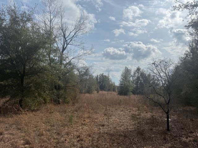 Sw Cr 751 Road, Jasper, FL 32052 Photo