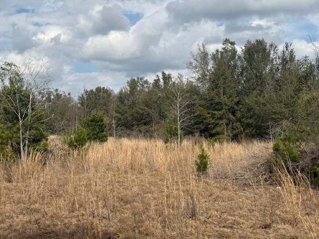 Sw Cr 751 Road, Jasper, FL 32052 Photo