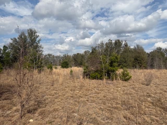 Sw Cr 751 Road, Jasper, FL 32052 Photo