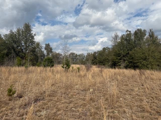 Sw Cr 751 Road, Jasper, FL 32052 Photo