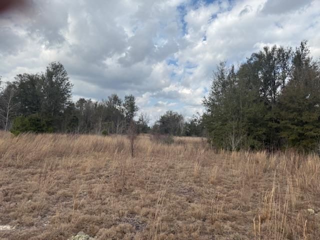 Sw Cr 751 Road, Jasper, FL 32052 Photo