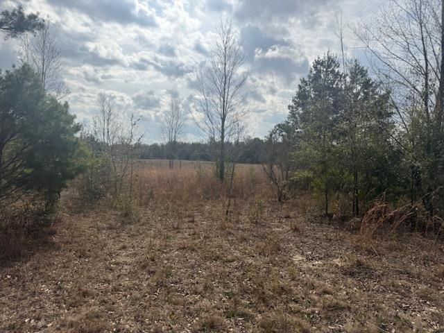 Sw Cr 751 Road, Jasper, FL 32052 Photo