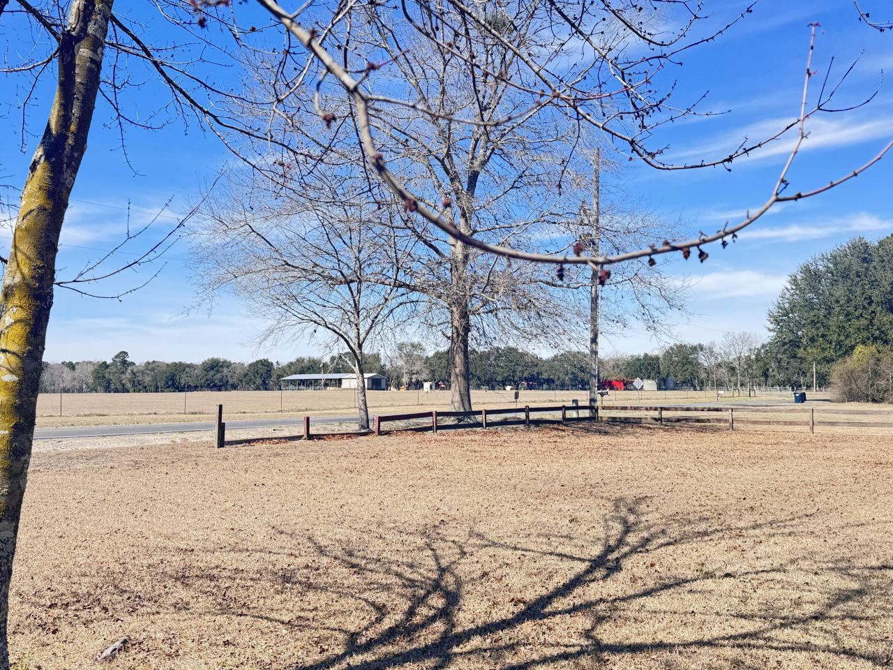 978 Stokes Road Photo 5