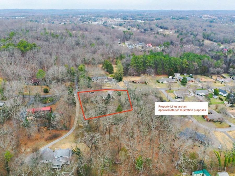 Property Image 6