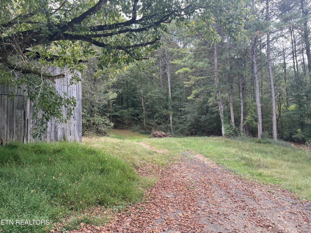 000 Cr 67 Rd, Riceville, TN 37370 Main Photo