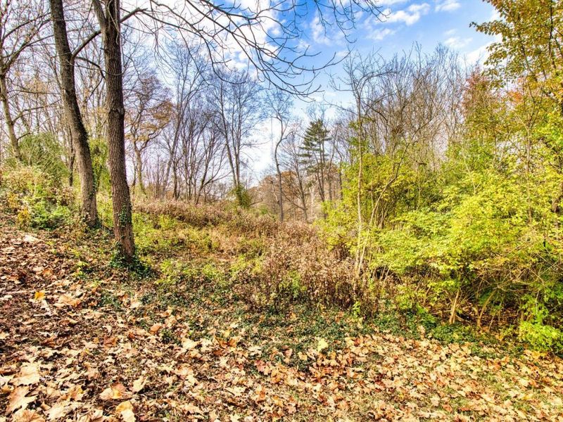 7249 State Road, Anderson Twp, OH 45230 Photo 38