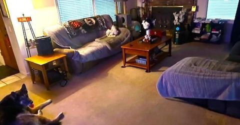 8422 Ancho Way, Elverta, CA 95626 Photo