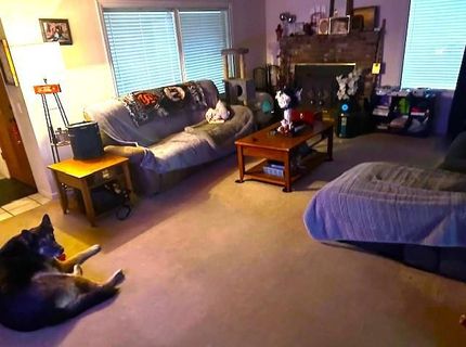8422 Ancho Way, Elverta, CA 95626 Photo